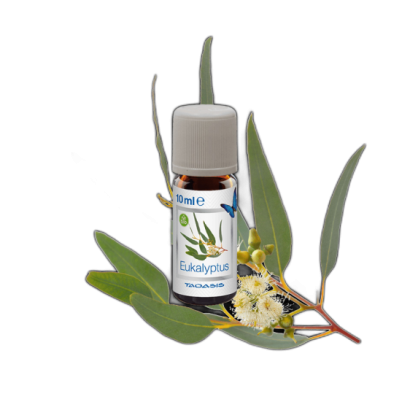 Zestaw BIO olejków zapachowych Taoasis Pomarańcza Eukaliptus Grejpfrut